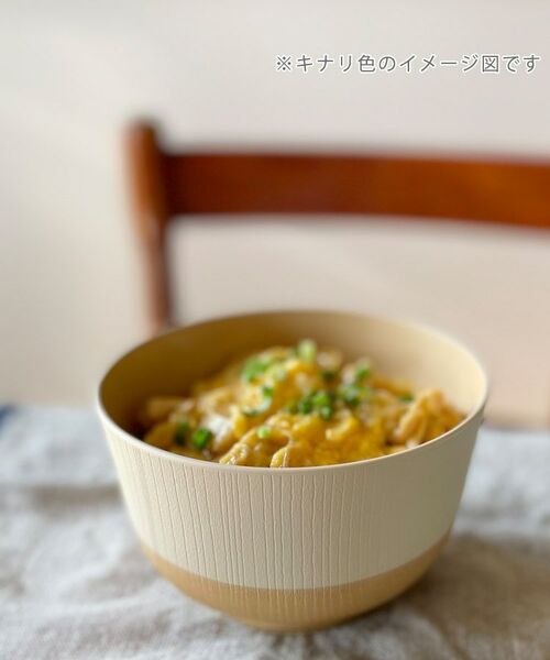 212 KITCHEN STORE / トゥーワントゥーキッチン ストア 食器 | やさしい彩 抗菌羽反丼 アマ色 | 詳細4