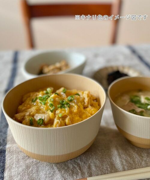 212 KITCHEN STORE / トゥーワントゥーキッチン ストア 食器 | やさしい彩 抗菌羽反丼 アマ色 | 詳細5