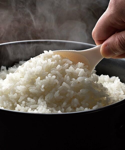 212 KITCHEN STORE / トゥーワントゥーキッチン ストア キッチンツール | とにかくよそいやすいダブルエンボスしゃもじ ＜CASUAL PRODUCT カジュアルプロダクト＞ | 詳細2