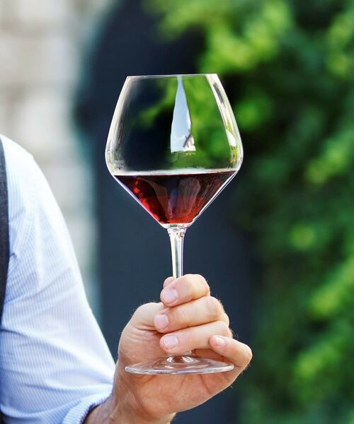 212 KITCHEN STORE / トゥーワントゥーキッチン ストア インテリア・生活雑貨・ホビー・ステーショナリー | エクストリーム ピノ・ノワール ペア ＜RIEDEL リーデル＞ | 詳細2