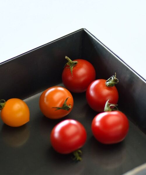 212 KITCHEN STORE / トゥーワントゥーキッチン ストア キッチンツール | アペルカ コンパクトディープパン | 詳細4