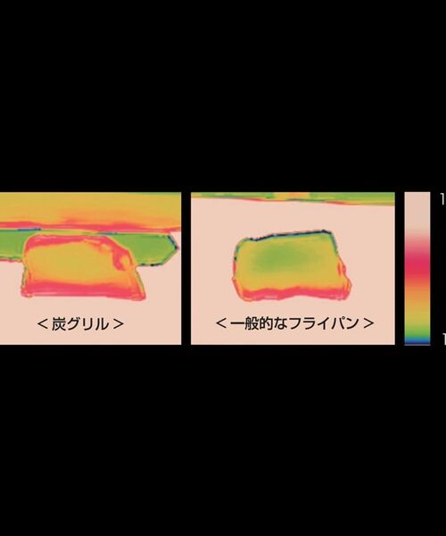 212 KITCHEN STORE / トゥーワントゥーキッチン ストア キッチンツール | 大人の焼魚 炭グリル | 詳細10