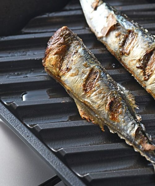 212 KITCHEN STORE / トゥーワントゥーキッチン ストア キッチンツール | 大人の焼魚 炭グリル | 詳細11