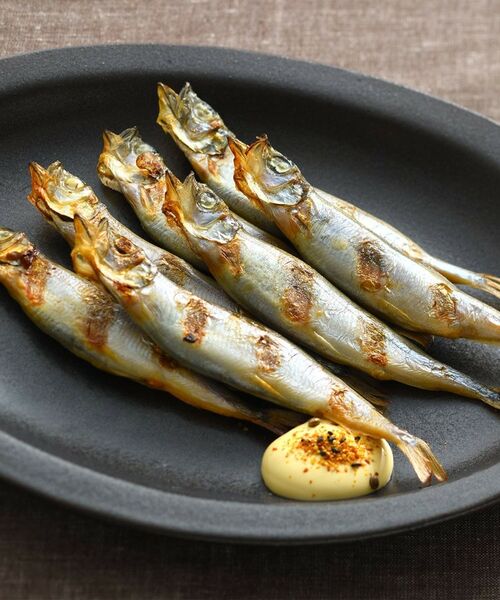 212 KITCHEN STORE / トゥーワントゥーキッチン ストア キッチンツール | 大人の焼魚 炭グリル | 詳細15