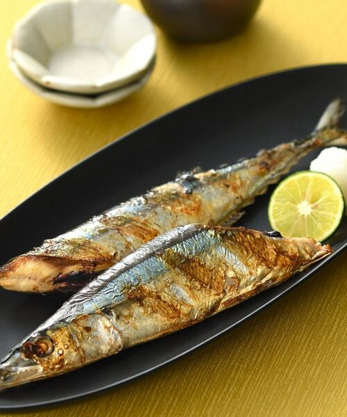 212 KITCHEN STORE / トゥーワントゥーキッチン ストア キッチンツール | 大人の焼魚 炭グリル | 詳細19