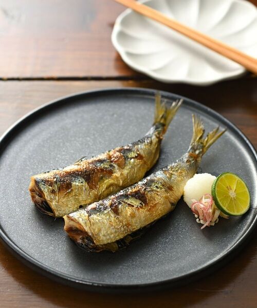 212 KITCHEN STORE / トゥーワントゥーキッチン ストア キッチンツール | 大人の焼魚 炭グリル | 詳細22