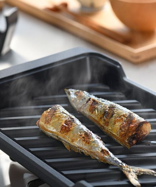 212 KITCHEN STORE / トゥーワントゥーキッチン ストア キッチンツール | 大人の焼魚 炭グリル | 詳細5