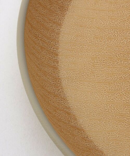 212 KITCHEN STORE / トゥーワントゥーキッチン ストア 食器 | earth color2 抗菌ラウンドプレート L GY | 詳細4