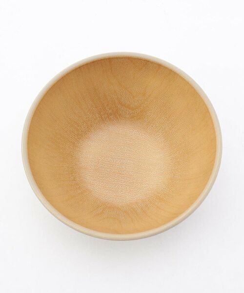 212 KITCHEN STORE / トゥーワントゥーキッチン ストア 食器 | earth color2 抗菌ボウル GY | 詳細2