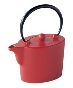 212 KITCHEN STORE / トゥーワントゥーキッチン ストア インテリア・生活雑貨・ホビー・ステーショナリー | 藍花 雅 赤茶 鉄急須