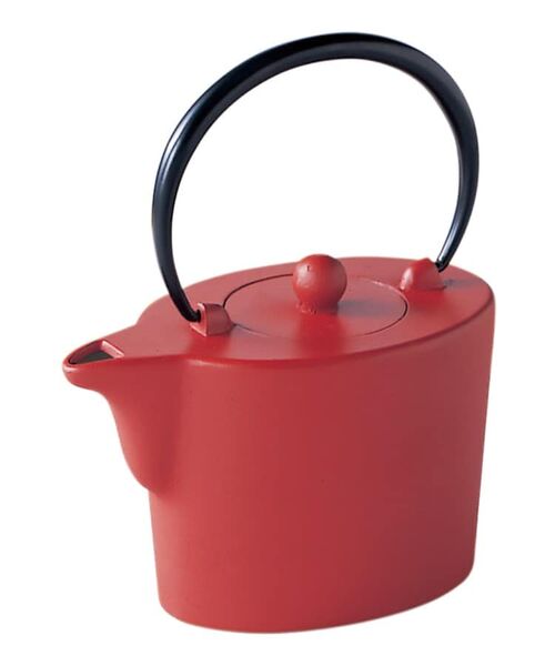 212 KITCHEN STORE / トゥーワントゥーキッチン ストア インテリア・生活雑貨・ホビー・ステーショナリー | 藍花 雅 赤茶 鉄急須 | 詳細1