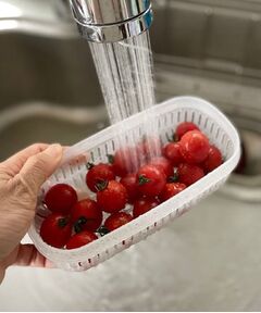 212 KITCHEN STORE / トゥーワントゥーキッチン ストア キッチンツール | ベジマジ あらう スリム ホワイト