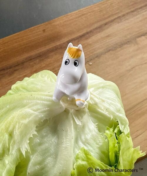 212 KITCHEN STORE / トゥーワントゥーキッチン ストア その他 | ムーミン&スノーク | 詳細2