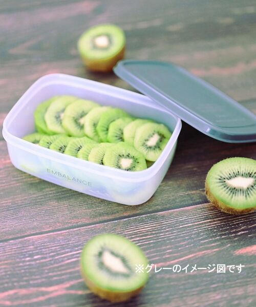 212 KITCHEN STORE / トゥーワントゥーキッチン ストア キッチンツール | EMBALANCE エンバランス レクタングルコンテナ 590ml PK | 詳細2