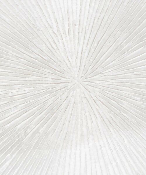 212 KITCHEN STORE / トゥーワントゥーキッチン ストア 食器 | ウェーブ プレート M GD ゴールド | 詳細6