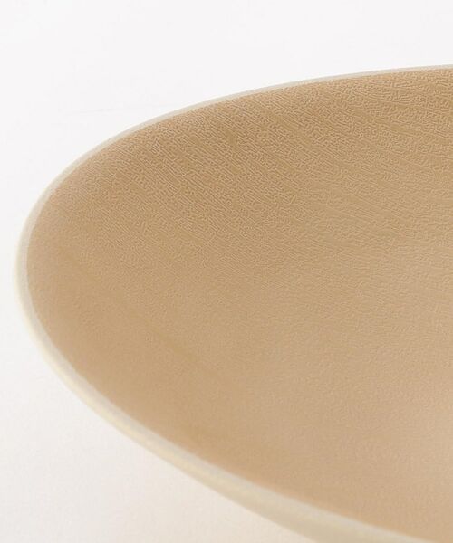 212 KITCHEN STORE / トゥーワントゥーキッチン ストア 食器 | earth colorカレーパスタ皿 ＩＶ | 詳細3