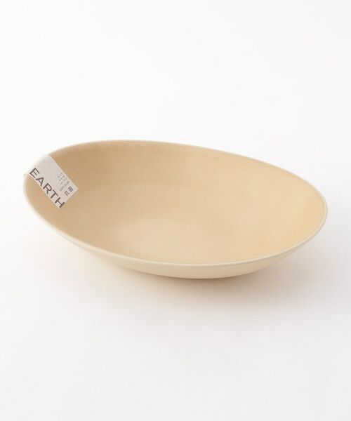 212 KITCHEN STORE / トゥーワントゥーキッチン ストア 食器 | earth colorカレーパスタ皿 ＩＶ | 詳細4