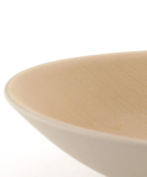 212 KITCHEN STORE / トゥーワントゥーキッチン ストア 食器 | earth colorカレーパスタ皿 ＧＹ | 詳細4