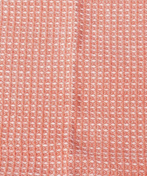 212 KITCHEN STORE / トゥーワントゥーキッチン ストア インテリア・生活雑貨・ホビー・ステーショナリー | シャンブレーディッシュクロス 2Pセット NV OR | 詳細4