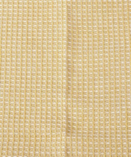 212 KITCHEN STORE / トゥーワントゥーキッチン ストア インテリア・生活雑貨・ホビー・ステーショナリー | シャンブレーディッシュクロス 2Pセット GR YE | 詳細4