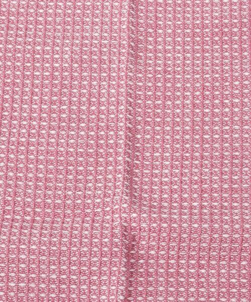 212 KITCHEN STORE / トゥーワントゥーキッチン ストア インテリア・生活雑貨・ホビー・ステーショナリー | シャンブレーディッシュクロス 2Pセット BL PK | 詳細4