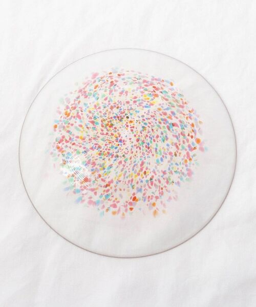 212 KITCHEN STORE / トゥーワントゥーキッチン ストア 食器 | はなび 盛皿 | 詳細4