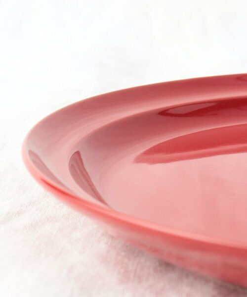 212 KITCHEN STORE / トゥーワントゥーキッチン ストア 食器 | ヒナタ プレートＬ RD | 詳細5
