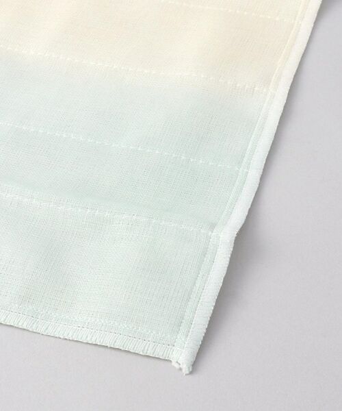 212 KITCHEN STORE / トゥーワントゥーキッチン ストア インテリア・生活雑貨・ホビー・ステーショナリー | 白雪ふきん～抗菌防臭・消臭～ 若草山の新緑 | 詳細3