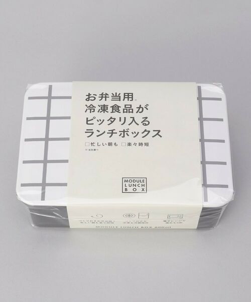 212 KITCHEN STORE / トゥーワントゥーキッチン ストア インテリア・生活雑貨・ホビー・ステーショナリー | MODULE LUNCH BOX L GY グリッド | 詳細4