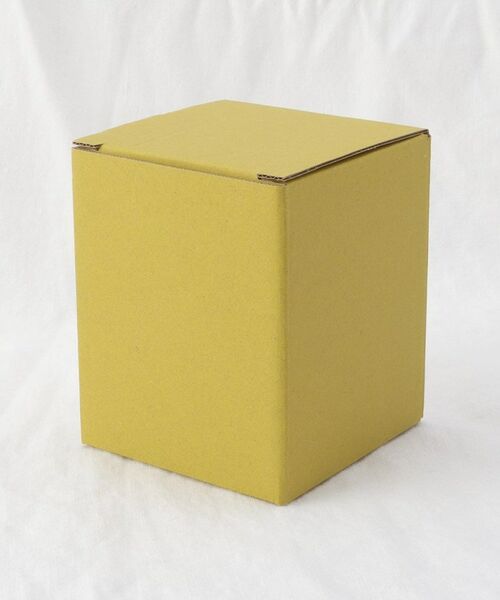 212 KITCHEN STORE / トゥーワントゥーキッチン ストア グラス・マグカップ | 琉球浪漫 トロピカル オールド RD | 詳細5