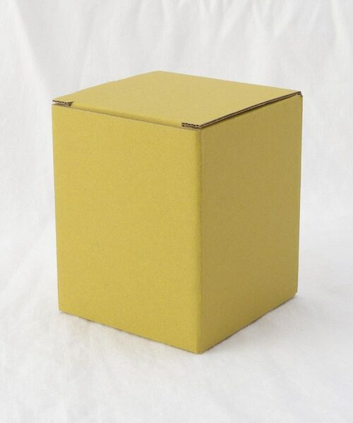 212 KITCHEN STORE / トゥーワントゥーキッチン ストア グラス・マグカップ | 琉球浪漫 トロピカル タンブラー RD | 詳細5