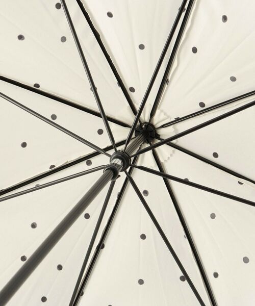 212 KITCHEN STORE / トゥーワントゥーキッチン ストア 傘 | Wpc. ミルキードット OF 長傘 | 詳細3