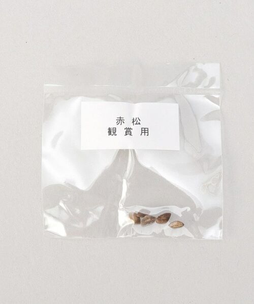 212 KITCHEN STORE / トゥーワントゥーキッチン ストア その他 | おめでたおちょこ 招き猫 白 | 詳細5