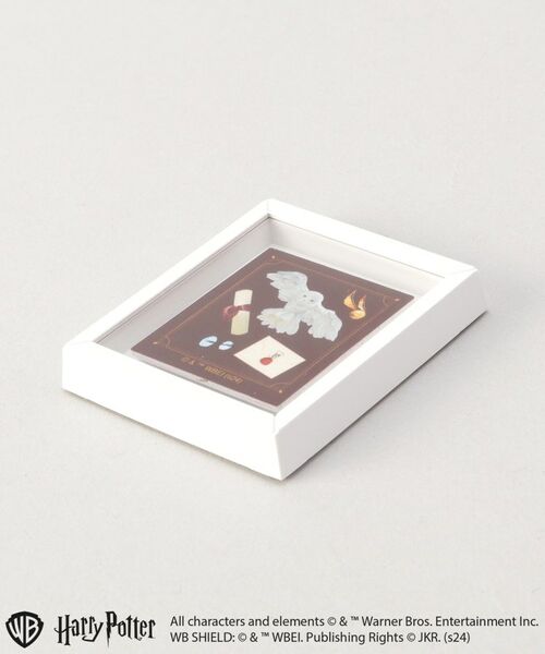 212 KITCHEN STORE / トゥーワントゥーキッチン ストア その他 | トレーディングフレームマグネット(6) ＜Harry Potter ハリー・ポッター＞ | 詳細3