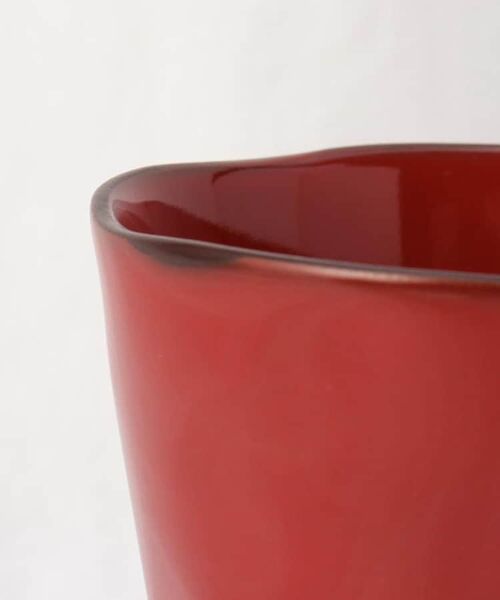 212 KITCHEN STORE / トゥーワントゥーキッチン ストア グラス・マグカップ | ROOTS プレーリー マグカップ スカーレット | 詳細5