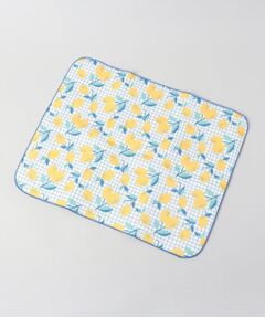 212 KITCHEN STORE / トゥーワントゥーキッチン ストア インテリア・インテリア雑貨 | 抗菌ドライングマットL　レモン 40×50