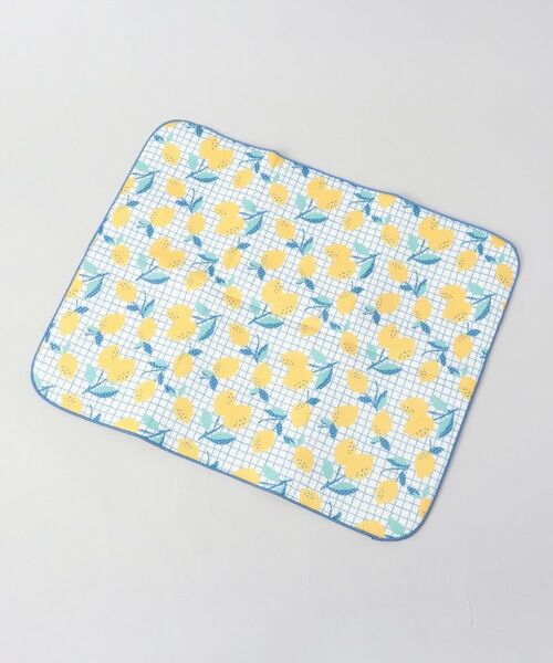 212 KITCHEN STORE / トゥーワントゥーキッチン ストア インテリア・インテリア雑貨 | 抗菌ドライングマットL　レモン 40×50 | 詳細1