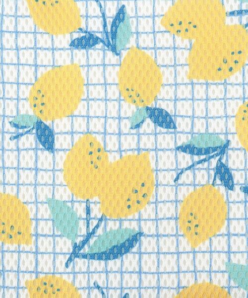 212 KITCHEN STORE / トゥーワントゥーキッチン ストア インテリア・インテリア雑貨 | 抗菌ドライングマットL　レモン 40×50 | 詳細3