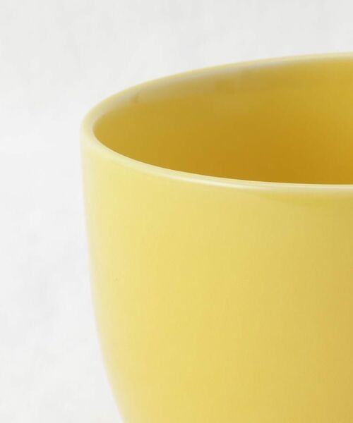 212 KITCHEN STORE / トゥーワントゥーキッチン ストア グラス・マグカップ | マルシェスープマグ YE | 詳細5