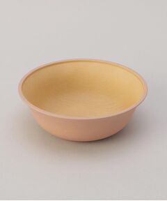 212 KITCHEN STORE / トゥーワントゥーキッチン ストア 食器 | earth color 抗菌すくえる ボウル PK