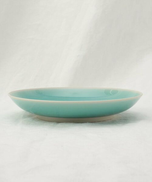 212 KITCHEN STORE / トゥーワントゥーキッチン ストア 食器 | シャイニカラー プレート L LBL | 詳細2