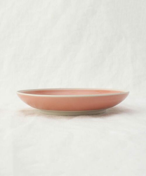 212 KITCHEN STORE / トゥーワントゥーキッチン ストア 食器 | シャイニカラー プレート M PK | 詳細2