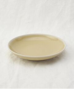 212 KITCHEN STORE / トゥーワントゥーキッチン ストア 食器 | シャイニカラー プレート M BE