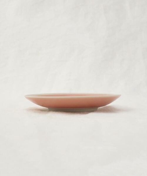 212 KITCHEN STORE / トゥーワントゥーキッチン ストア 食器 | シャイニカラー プレート S PK | 詳細2