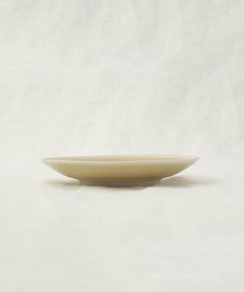 212 KITCHEN STORE / トゥーワントゥーキッチン ストア 食器 | シャイニカラー プレート S BE | 詳細2