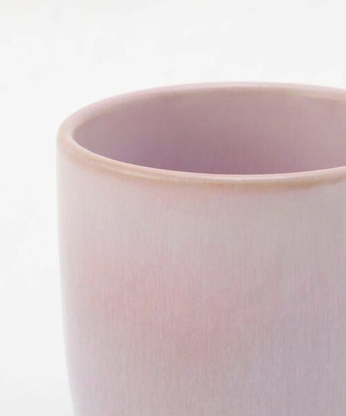 212 KITCHEN STORE / トゥーワントゥーキッチン ストア グラス・マグカップ | 萩 彩マグ PK | 詳細6