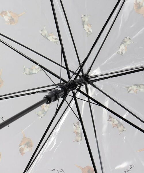 212 KITCHEN STORE / トゥーワントゥーキッチン ストア 傘 | 沖昌之さん×Wpc. アンブレにゃん ビニール傘/長傘 | 詳細3