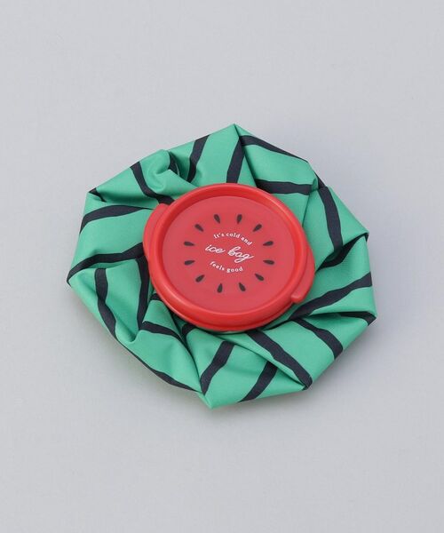 212 KITCHEN STORE / トゥーワントゥーキッチン ストア その他小物 | スイカ アイスバッグS GR | 詳細3
