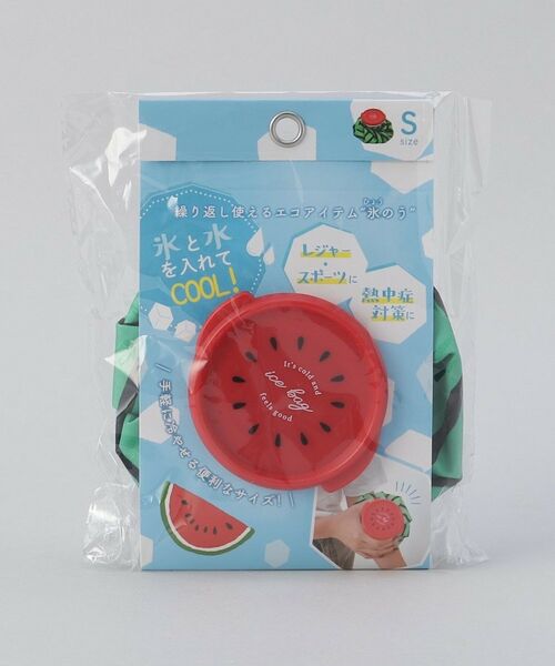 212 KITCHEN STORE / トゥーワントゥーキッチン ストア その他小物 | スイカ アイスバッグS GR | 詳細5