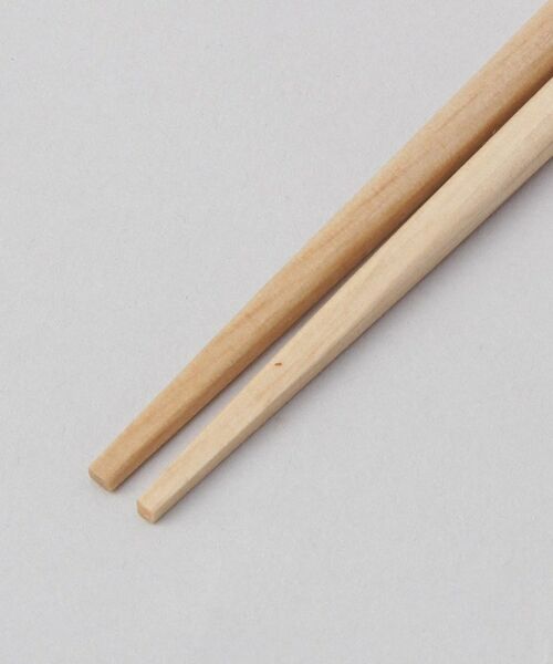 212 KITCHEN STORE / トゥーワントゥーキッチン ストア インテリア・生活雑貨・ホビー・ステーショナリー | ほんとうにすべらないお箸 子供用 18cm きょうりゅう | 詳細3